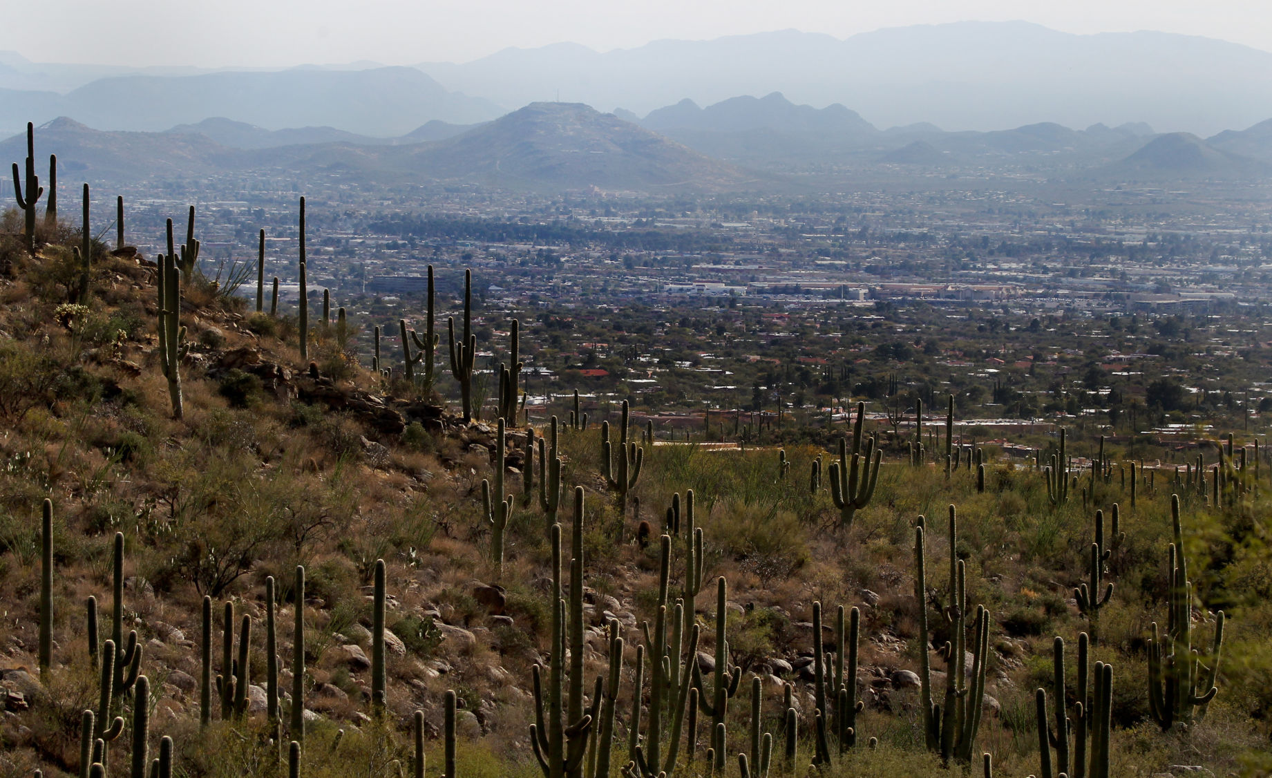Pima Canyon Trail